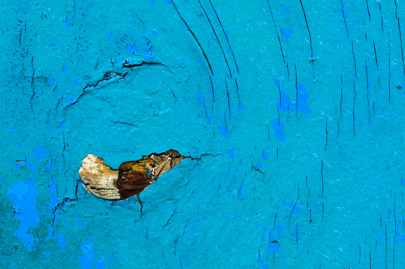 Bare wood in a blue-flecked sea