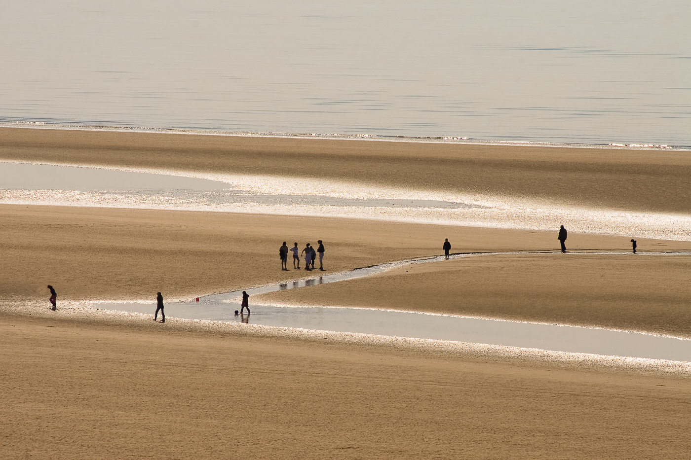 The attraction of water