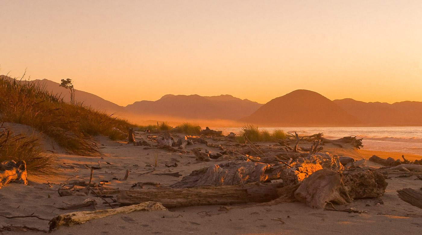 Driftwood sunset