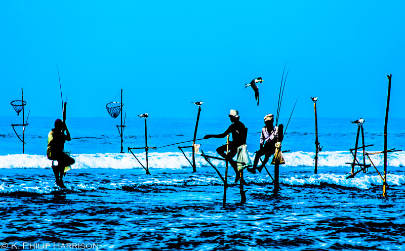 Stilt fishermen